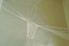 cob1
