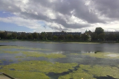 kopenhaga (1)