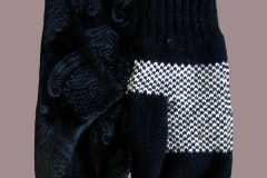 GLOVES1