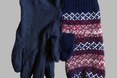 GLOVES3