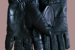 GLOVES6