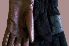 GLOVES7