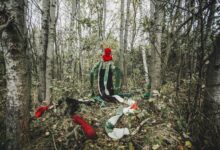 Medusa: Sensing-with and thinking-with the world